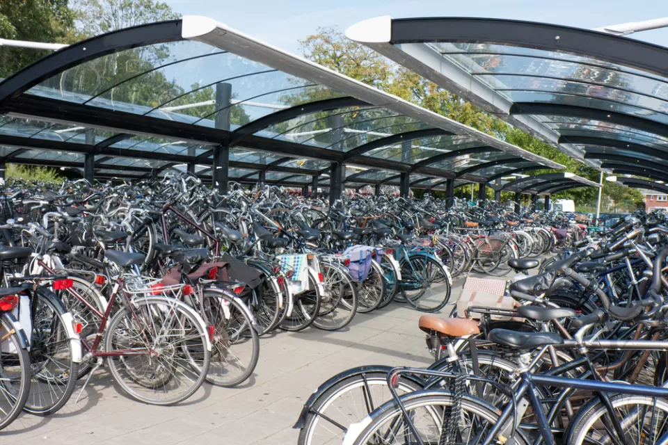 Bike Shed Netherlands